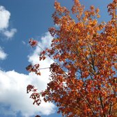 Herbst Achenkirch