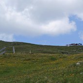 weg zum thurntaler see grenzkamm pferde