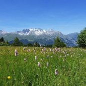 knoeterich auf grufa wiesen dahinter samnaungruppe