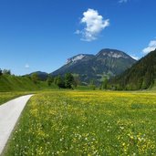 fruehling bei soell am wilden kaiser