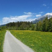 scheffau umgebung landschaft am radweg