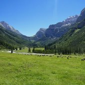 angeralm im karwendeltal und kuehe