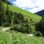 hochgerg hang oberhalb von innervillgraten