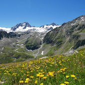 stubaital stubaier gletscher daunkogel und daunkoepfe