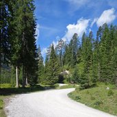 forstweg wanderweg gaistal ehrwalder alm