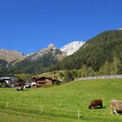 C pettneu am arlberg fr