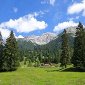 gaistalalm und dahinter hochwanner