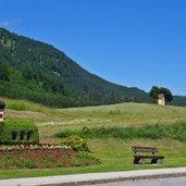 achenkirch bonsai