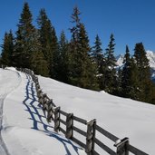 weg a von hoeg alm zum alpkopf