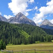 ehrwalder alm rundblick fr