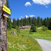 thoerleweg von ehrwald zur hochtoerlehuette