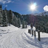 rodelbahn juifenalm