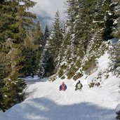 rodelbahn juifenalm