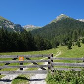 weg und burgwald am finetzbach fr