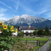 sonnenblumen in volders dahinter hohe fuerleg