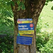 mtb route langer grund