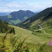 almwiesen bei kohlgrubenalm