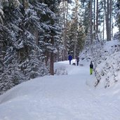 rodelbahn brandstatt alm stubaital