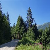 forstweg zur weidener huette route bzw mtb