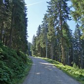 forstweg zur weidener huette route bzw mtb