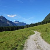 lechradweg auf der hoehe von vorderhornbach