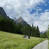 wiesen und waldweg steinach gschnitz