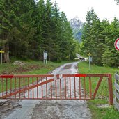 beginn forststrasse gschnitztal