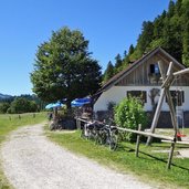 schattwald kalbelehof alpe