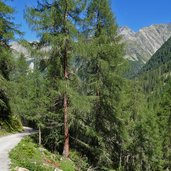 weg sulztal