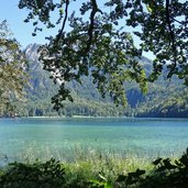 alpsee bei neuschwanstein