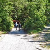 wanderwege pinswang bei neuschwanstein alpsee fuerstenweg