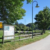 fuerstenstrasse wanderweg radweg bei pinswang