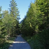 plansee rundwanderweg bei kleiner plansee