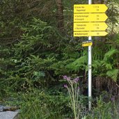 abzweigung tiefental alm und arzler alm wegweiser