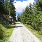 abzweigung wegweiser steig zur arzler alm