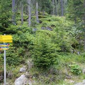 mtb bike route tiefental alm unterer anstieg wegweiser bei abzweigung arzler alm