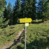 weg rosshuette zum seefelder joch