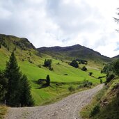 kamelisenalm wiesen unter kaschaswand