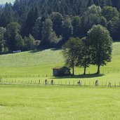 radwanderweg radfaher bei kirchberg in tirol