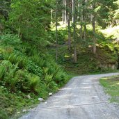 forststrasse pfaffenhofener alm mtb route