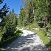 wandereg mtb route oberhalb von trins im burgwald