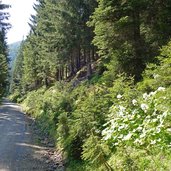 forststrasse pfaffenhofener alm mtb route