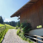 gries am brenner weg zur sattelbergalm