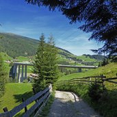 gries am brenner weg zur sattelbergalm