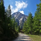 widdersberger alm blick richtung narrenkopf