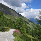 weg nr tux bichlalm tuxerjoch