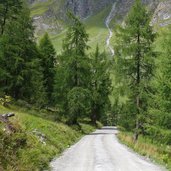 weg nr tux bichlalm tuxerjoch