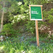 biotop sattelmoeser