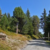 forststrasse zur kreuzwiesenalm