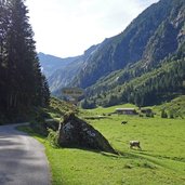 stilluptal bei waldlalm